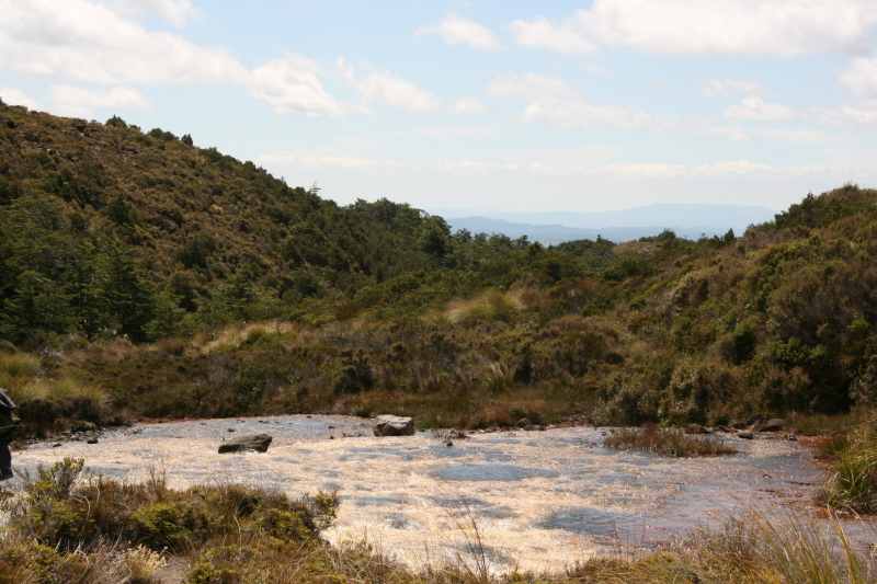 Nieuw-Zeeland 2011 - 0851